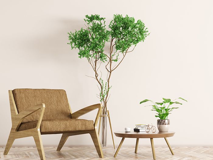 ソファと観葉植物とサイドテーブル