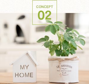 家の模型と観葉植物